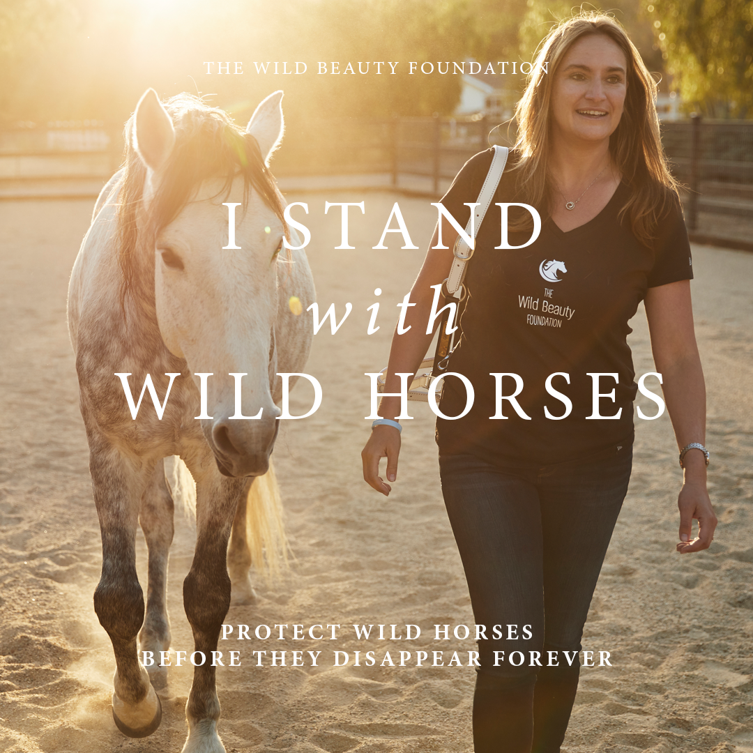 Wild Horse Apparel